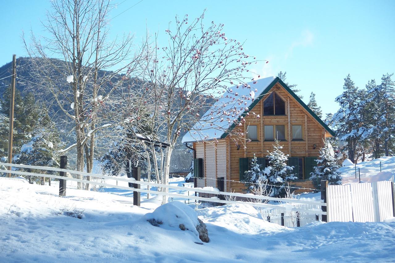 Kuca U Borju - House In Pines Apartment Žabljak Exterior foto